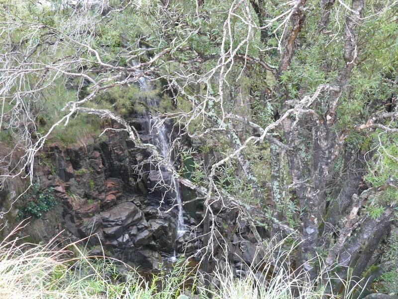 ” Llangollan “, Moree NSW 2400