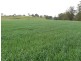 ” Llangollan “, Moree NSW 2400