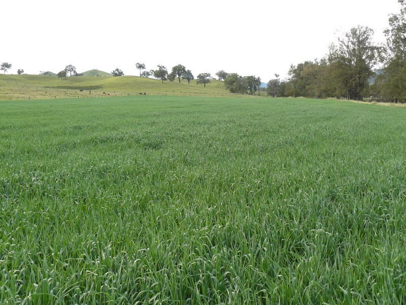 ” Llangollan “, Moree NSW 2400