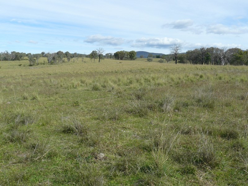 ” Llangollan “, Moree NSW 2400