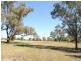 Moree NSW 2400