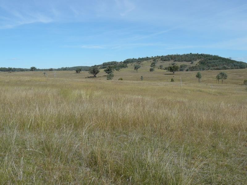 Wallangra NSW 2360