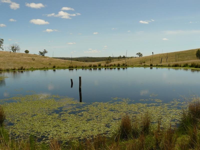 Wallangra NSW 2360