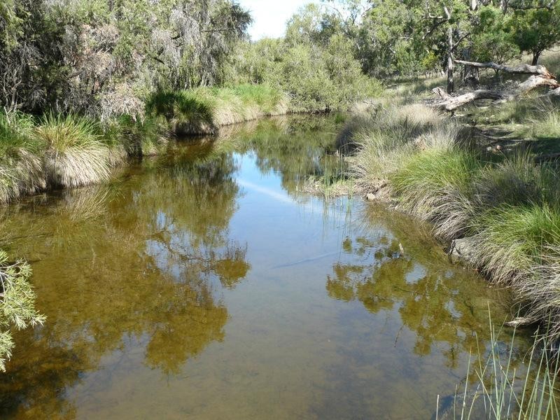 Wallangra NSW 2360