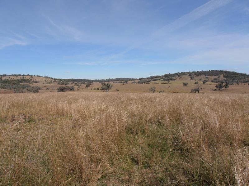 Wallangra NSW 2360