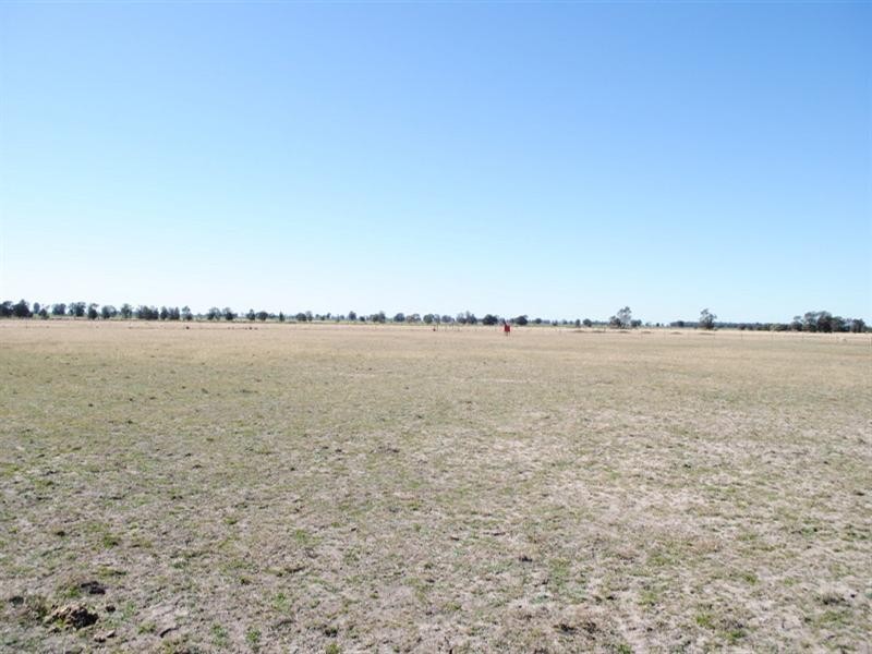 Moree NSW 2400