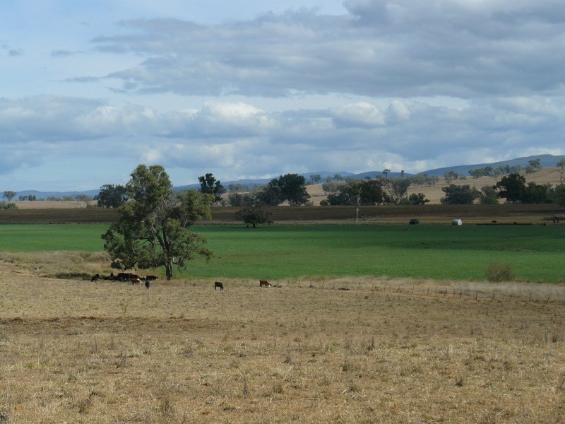 ” Araluen “, ” Finschaffen “, ” Kiaora East “, Bingara NSW 2404