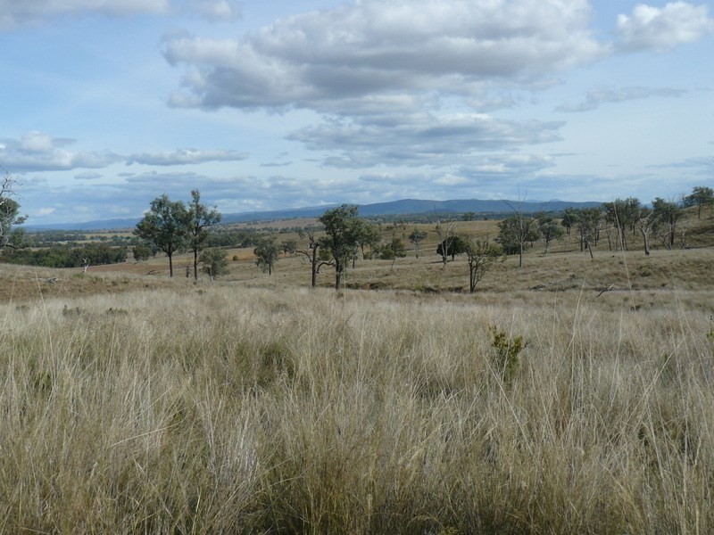 ” Araluen “, ” Finschaffen “, ” Kiaora East “, Bingara NSW 2404