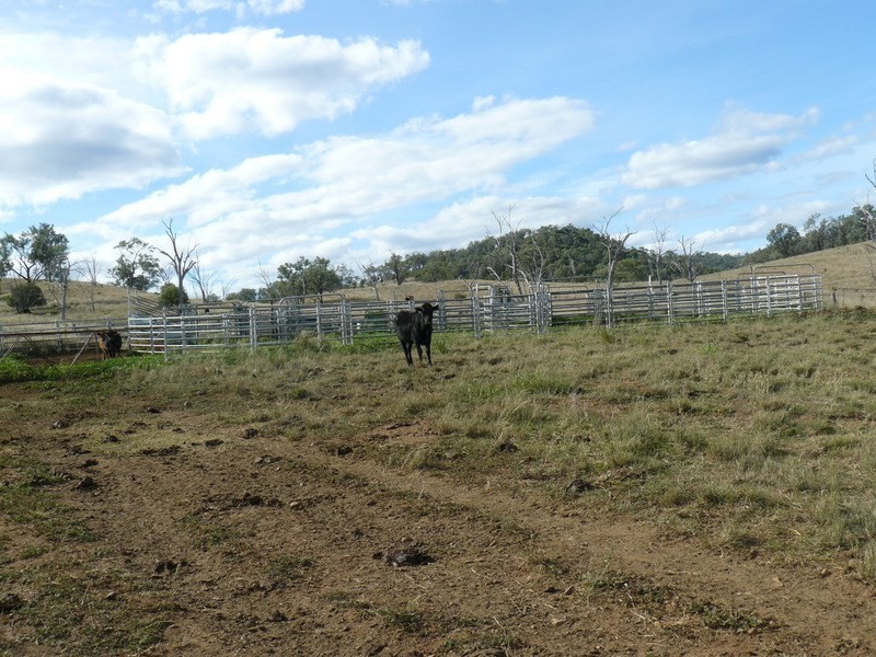 ” Araluen “, ” Finschaffen “, ” Kiaora East “, Bingara NSW 2404