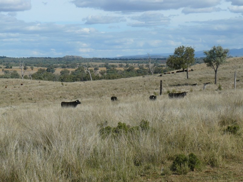 ” Araluen “, ” Finschaffen “, ” Kiaora East “, Bingara NSW 2404