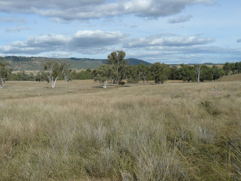 ” Araluen “, ” Finschaffen “, ” Kiaora East “, Bingara NSW 2404