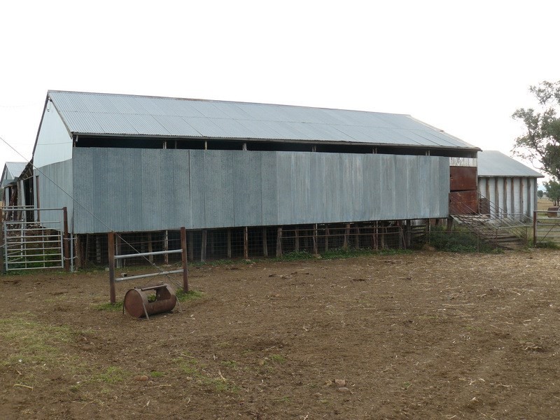 ” Araluen “, ” Finschaffen “, ” Kiaora East “, Bingara NSW 2404