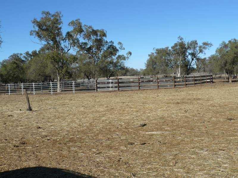 ” Allawah “, Lightning Ridge NSW 2834