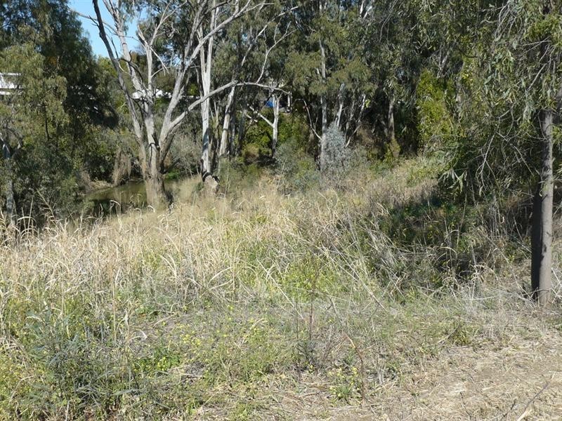 6 Lots Olive Crescent, Moree NSW 2400