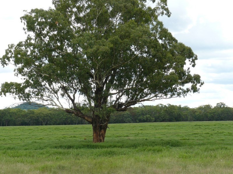 ” Irragappa “, Bellata NSW 2397