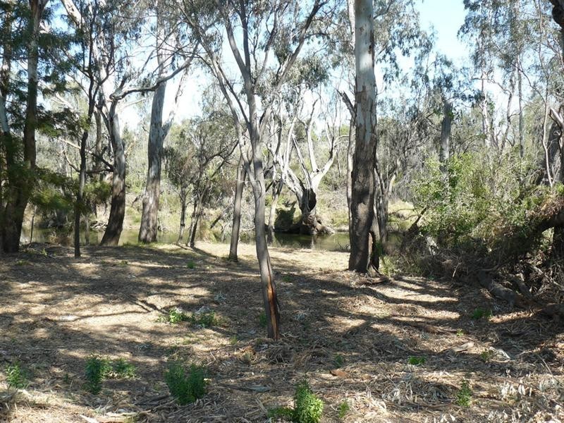 106 Fox Lodge Subdivision, Moree NSW 2400