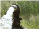 ” Tyreel Bore “, Moree NSW 2400