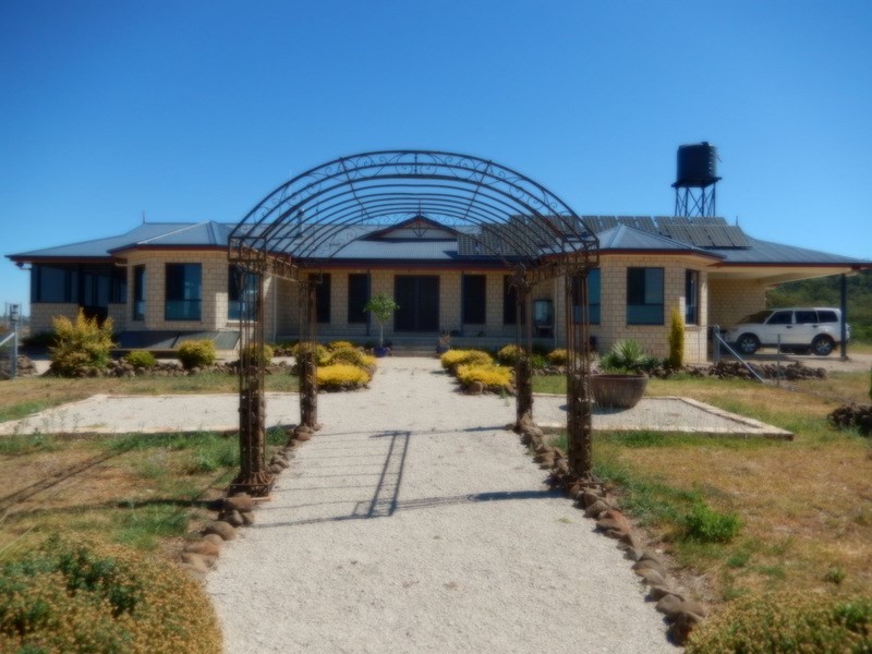 ” Gunna Gumpy “, Bingara NSW 2404