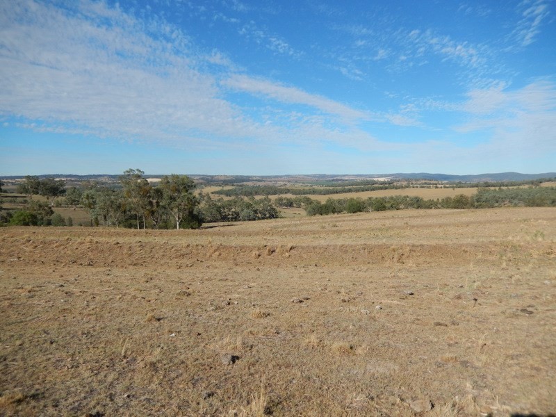 ” Gunna Gumpy “, Bingara NSW 2404