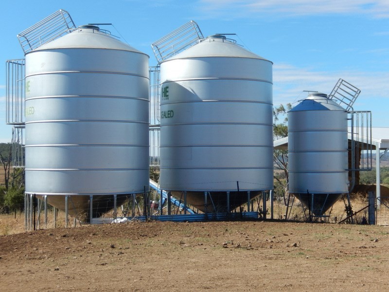 ” Gunna Gumpy “, Bingara NSW 2404