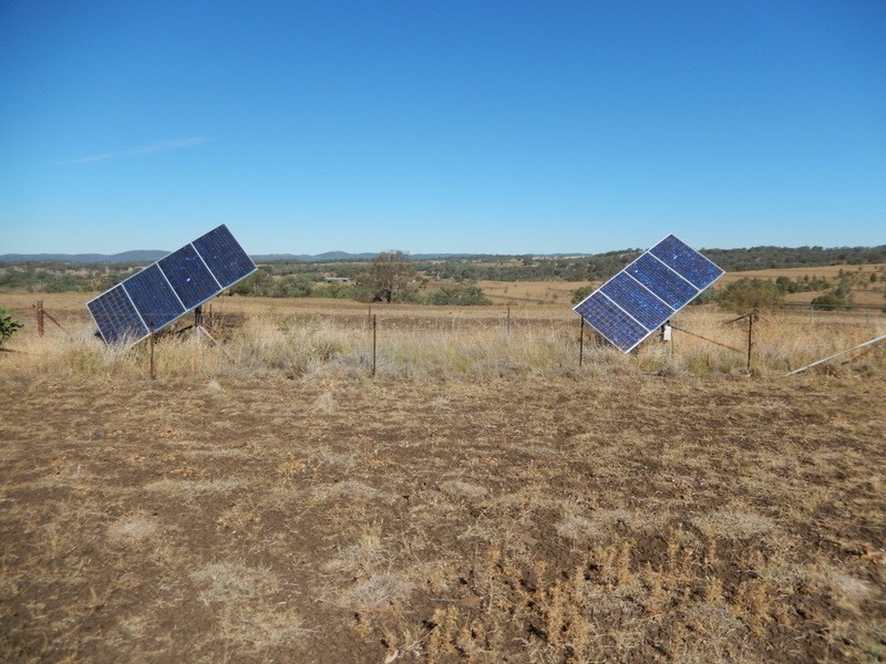 ” Gunna Gumpy “, Bingara NSW 2404