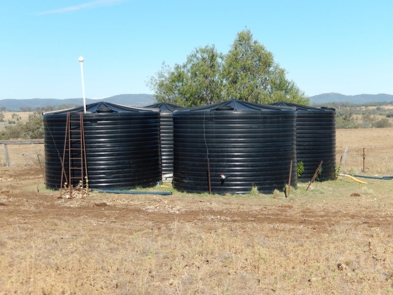 ” Gunna Gumpy “, Bingara NSW 2404