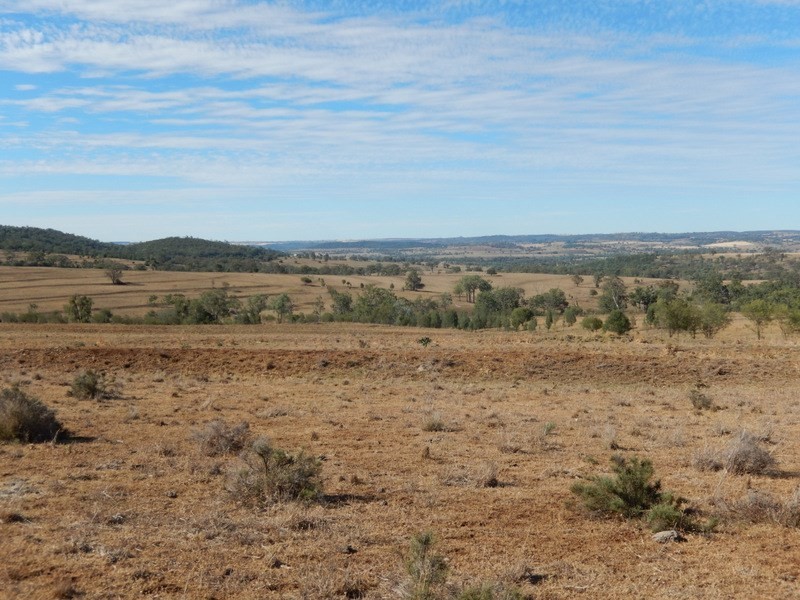 ” Gunna Gumpy “, Bingara NSW 2404