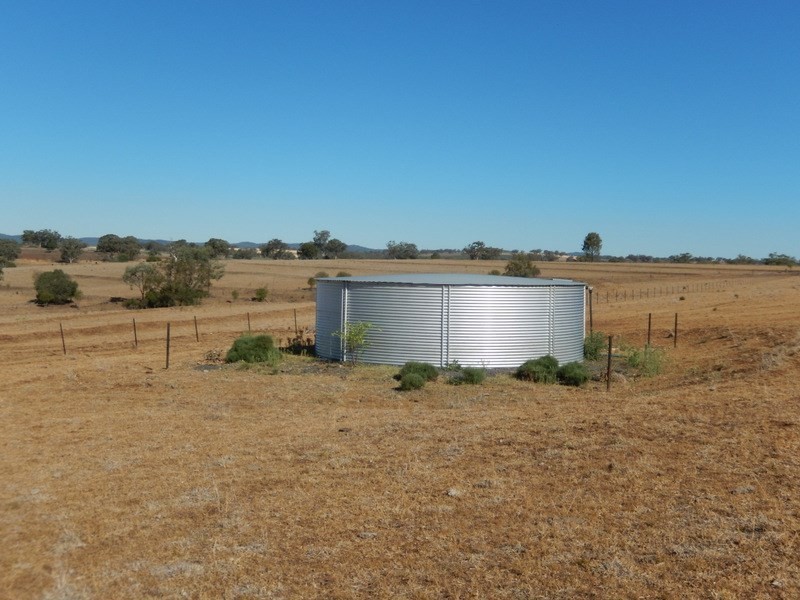 ” Gunna Gumpy “, Bingara NSW 2404