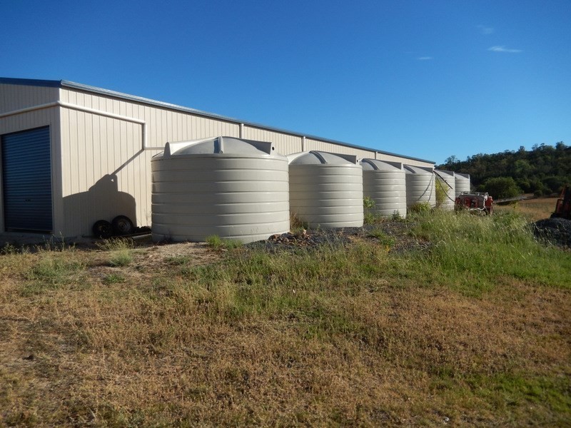 ” Gunna Gumpy “, Bingara NSW 2404