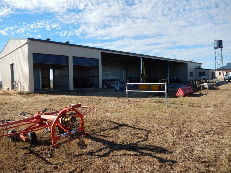 ” Gunna Gumpy “, Bingara NSW 2404