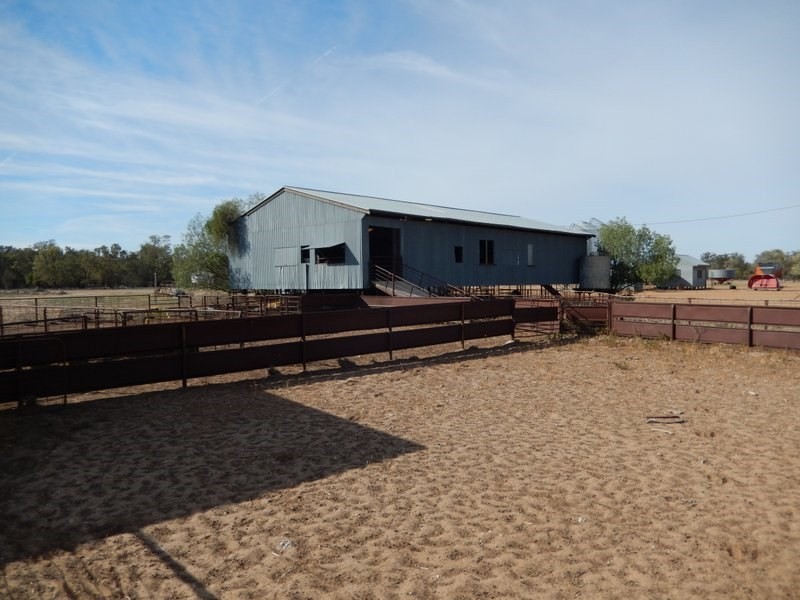 ” Glenelvyn “, Lightning Ridge NSW 2834