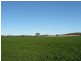 ” Biniguy Farming Aggregation”, Biniguy NSW 2399
