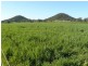 ” Glenhope”, Biniguy NSW 2399