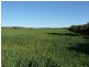 ” Glenhope”, Biniguy NSW 2399