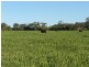 ” Glenhope”, Biniguy NSW 2399