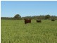 ” Glenhope”, Biniguy NSW 2399