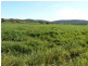 ” Glenhope”, Biniguy NSW 2399