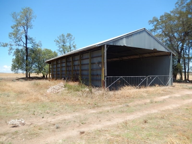 ” Koinonia”, Biniguy NSW 2399
