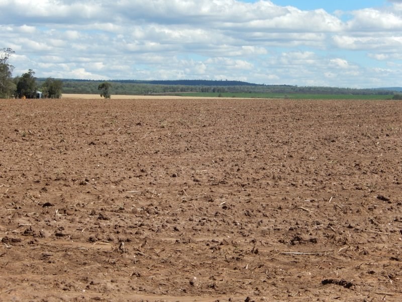 ” Koinonia”, Biniguy NSW 2399