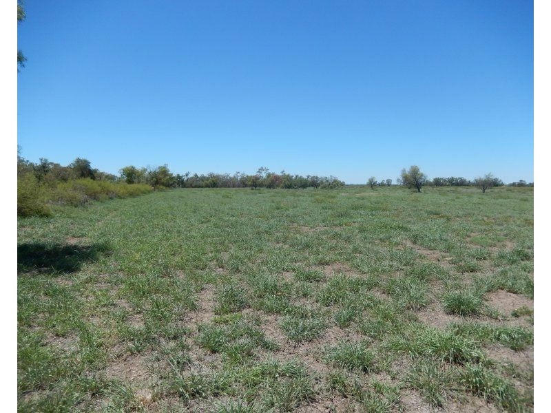 ” Cowell Lagoon Road”, Moree NSW 2400