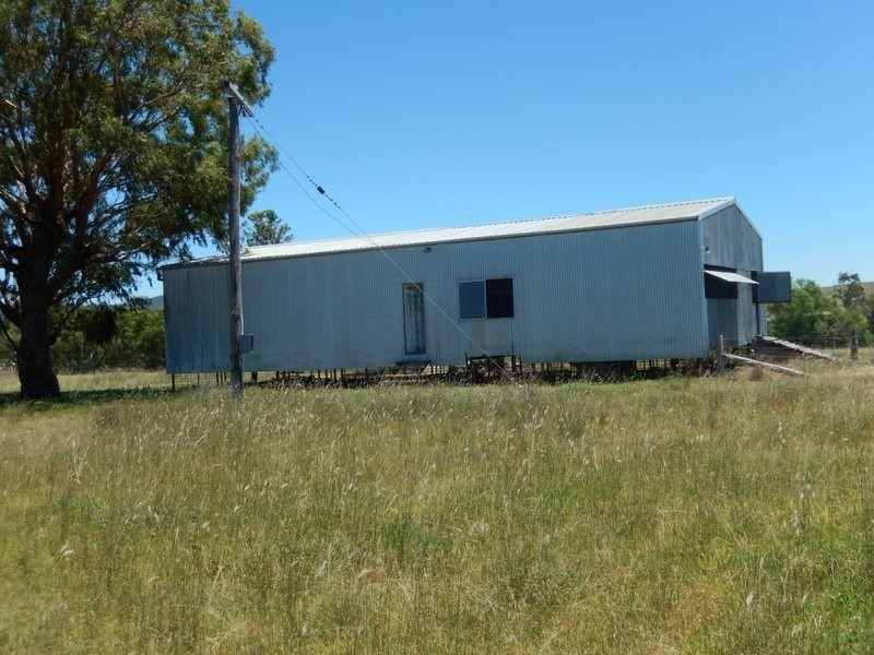 ” Rosebud Aggregation”, Bingara NSW 2404