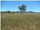 ” Rosebud Aggregation”, Bingara NSW 2404