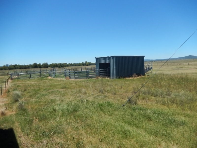 ” Rosebud House Block”, Bingara NSW 2404