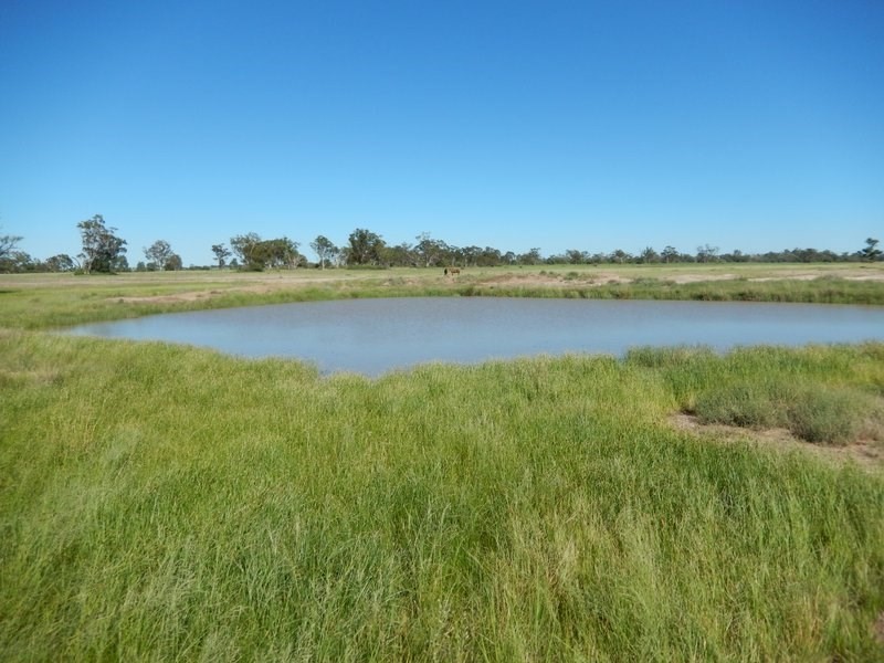 ” Barbers Lagoon, Gravesend NSW 2401