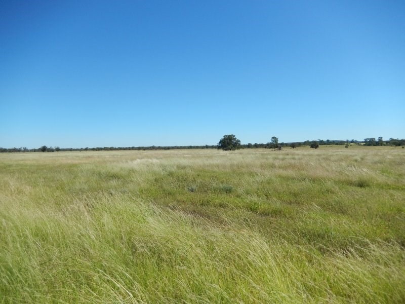 ” Barbers Lagoon, Gravesend NSW 2401