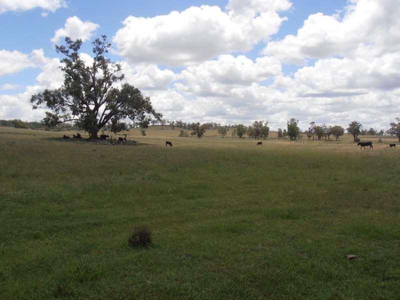 ” Gresham”, Myall Creek NSW 2403