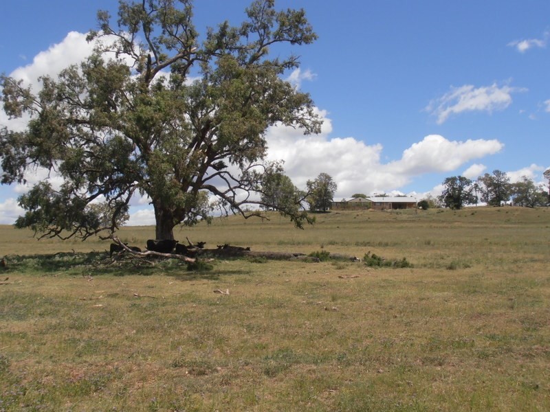 ” Gresham”, Myall Creek NSW 2403