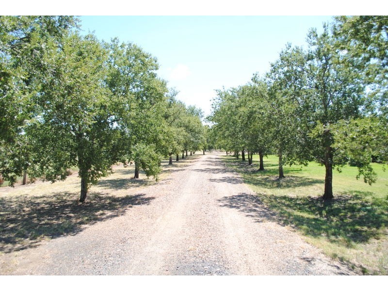 88 Kooroogamma Road, Moree NSW 2400