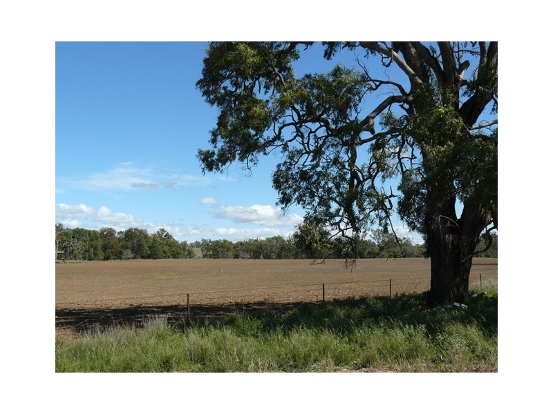 ” Rockdale”, Moree NSW 2400