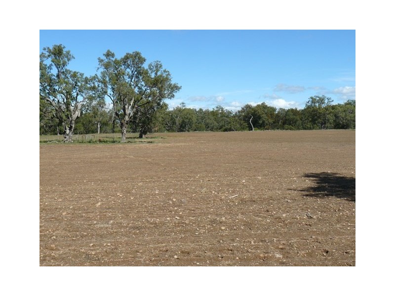 ” Rockdale”, Moree NSW 2400